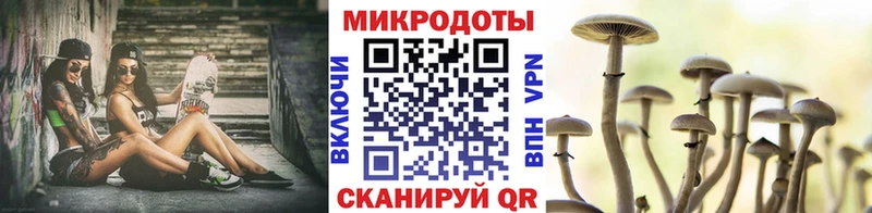 Купить  Безенчук  Галлюциногенные грибы прущие грибы 